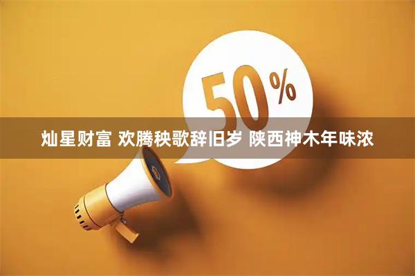 灿星财富 欢腾秧歌辞旧岁 陕西神木年味浓